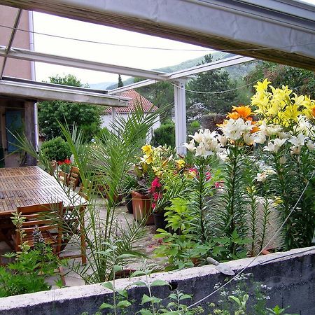 La Maison Rose Saillans  Kültér fotó